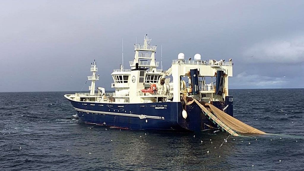 Read more about the article Herring play hard to get