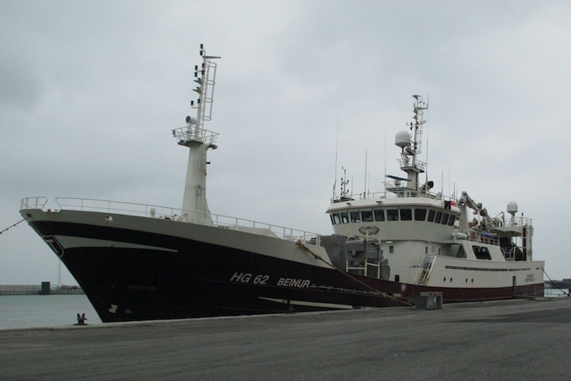 Read more about the article Blue whiting boosts Danish pelagic sector