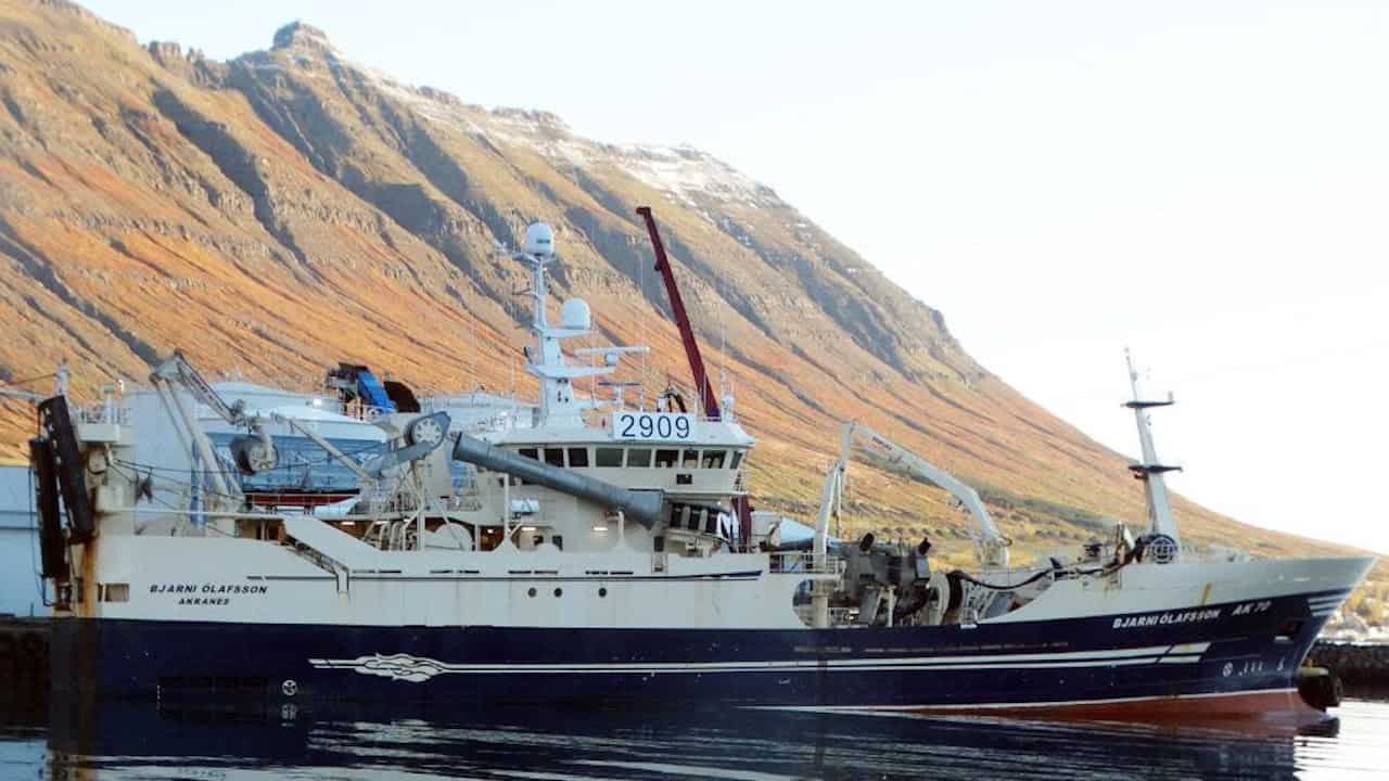 Read more about the article Full blue whiting trip for Bjarni Ólafsson