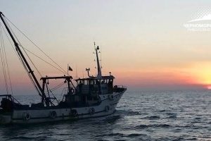 Black Sea Sunrise disputes that fishing is responsible for dolphin mortality - @ Fiskerforum
