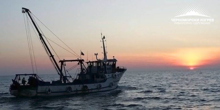 Black Sea Sunrise disputes that fishing is responsible for dolphin mortality - @ Fiskerforum