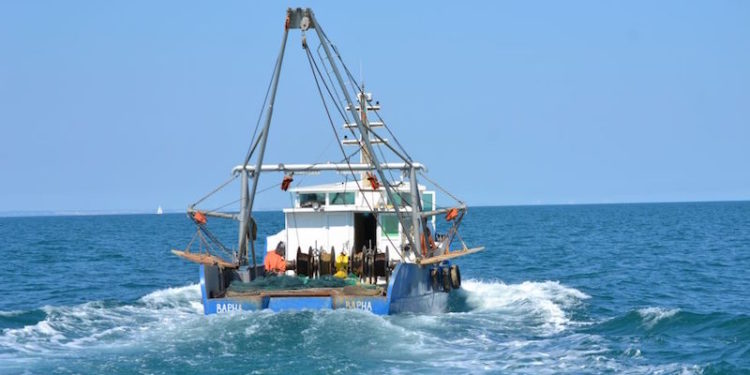 Proposals have been made for Black Sea fisheries next year - @ Fiskerforum