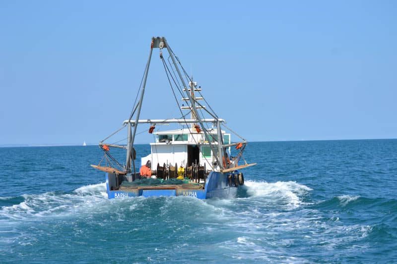 Read more about the article Black Sea fishing opportunities for 2018