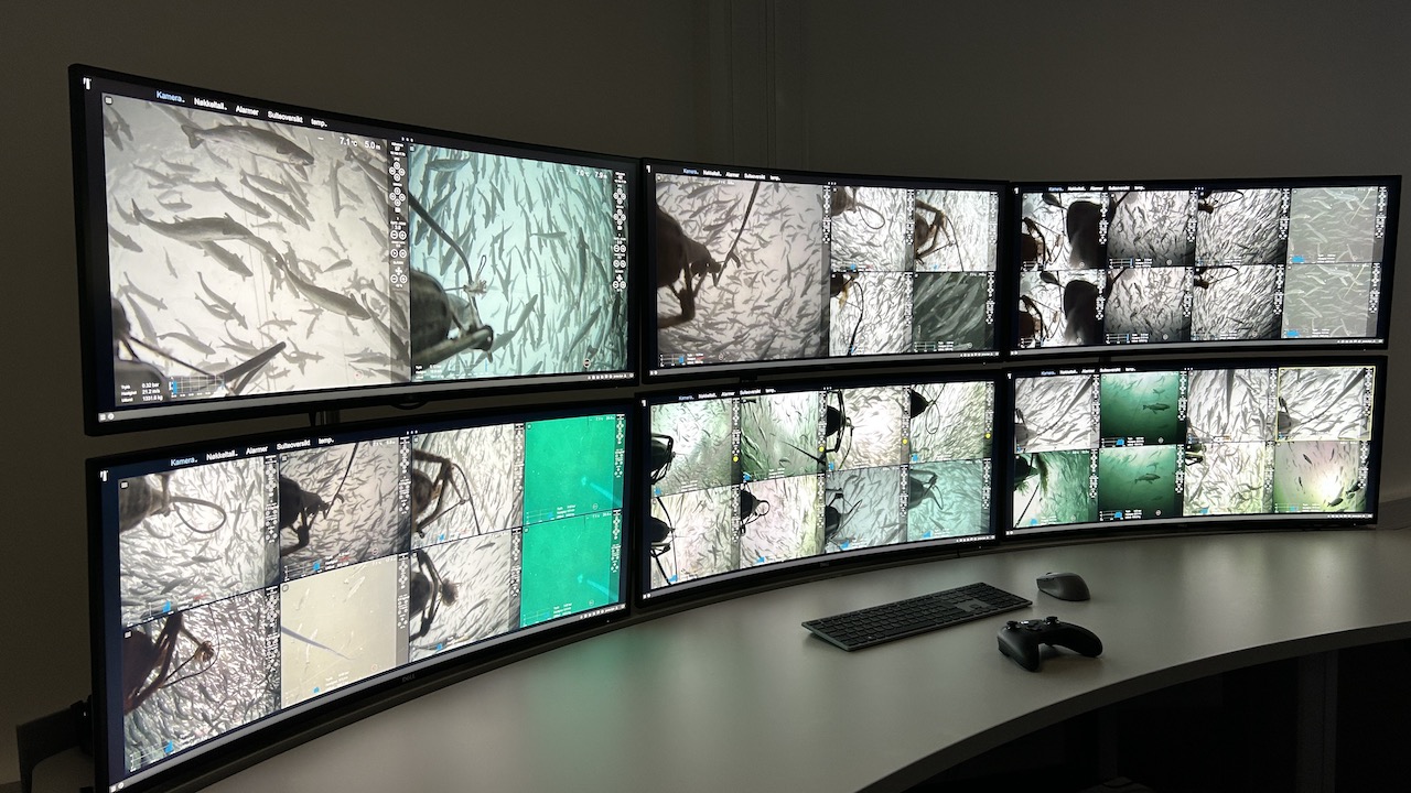 Read more about the article Bluefront Equity acquires Piscada’s aquaculture business