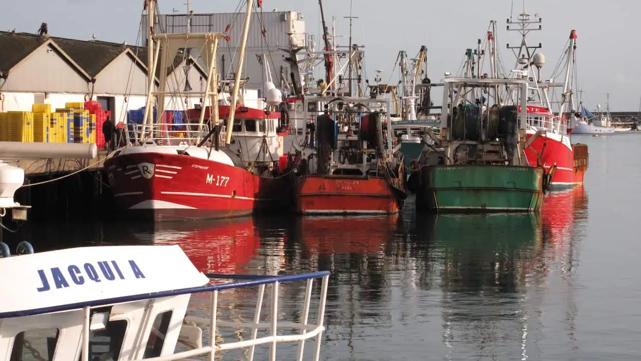 Read more about the article Support for UK sustainable fishing