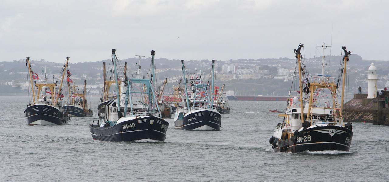 Read more about the article Government support rolled out for English fishing