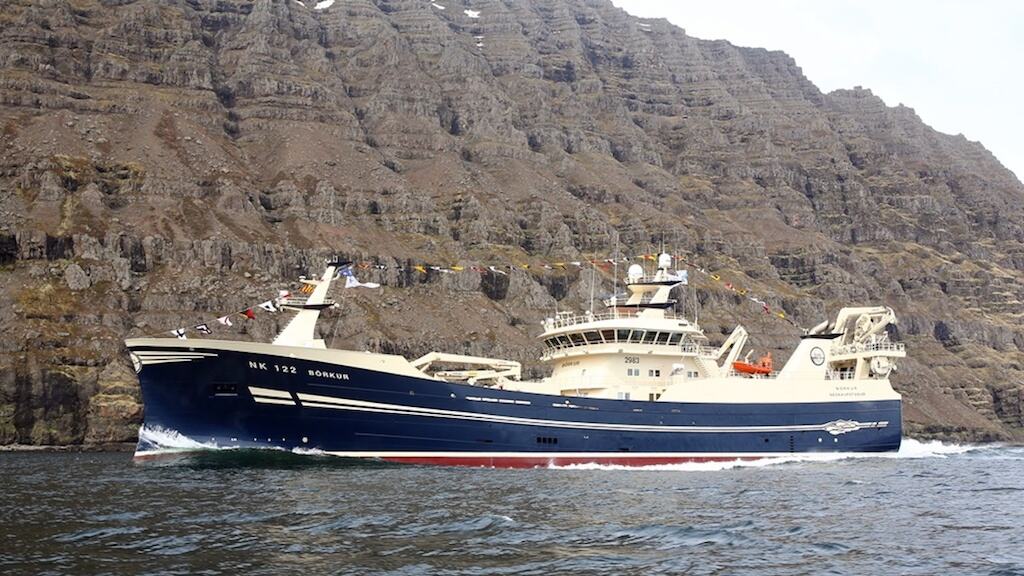 Read more about the article Mackerel heading for Iceland