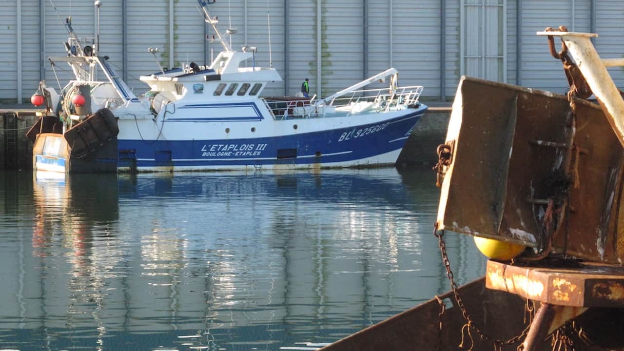 Read more about the article EU report projects resilience of fisheries during pandemic