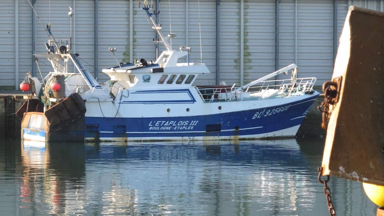 Read more about the article I want those licenses back!