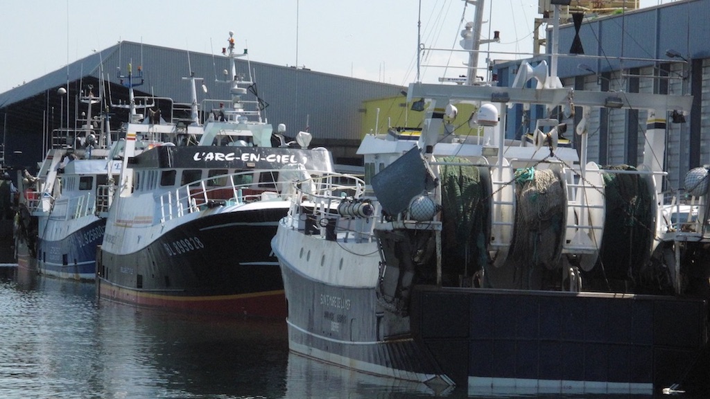 Read more about the article Europêche discusses fisheries priorities with EU member states