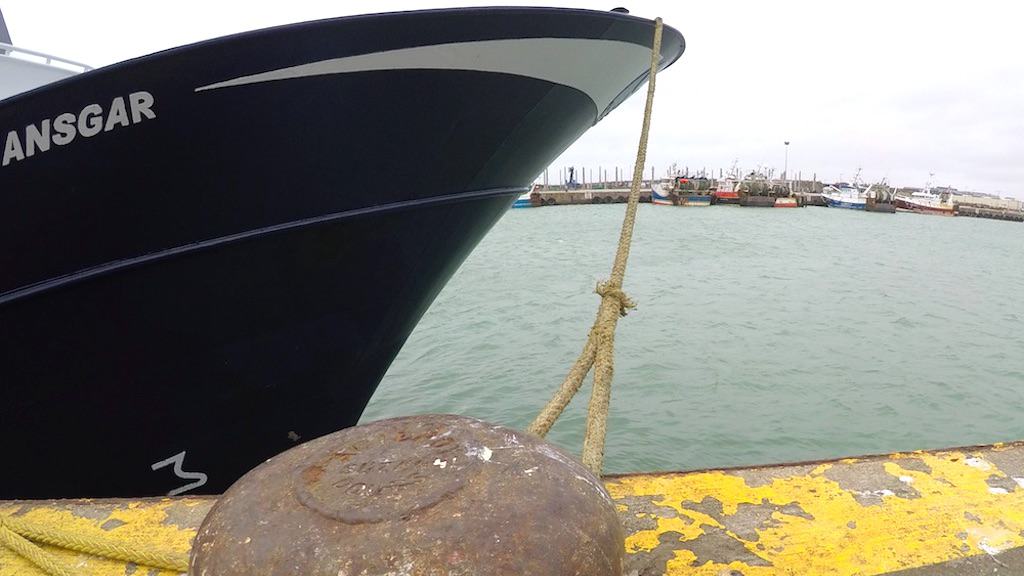 Read more about the article EU fisheries control law improved