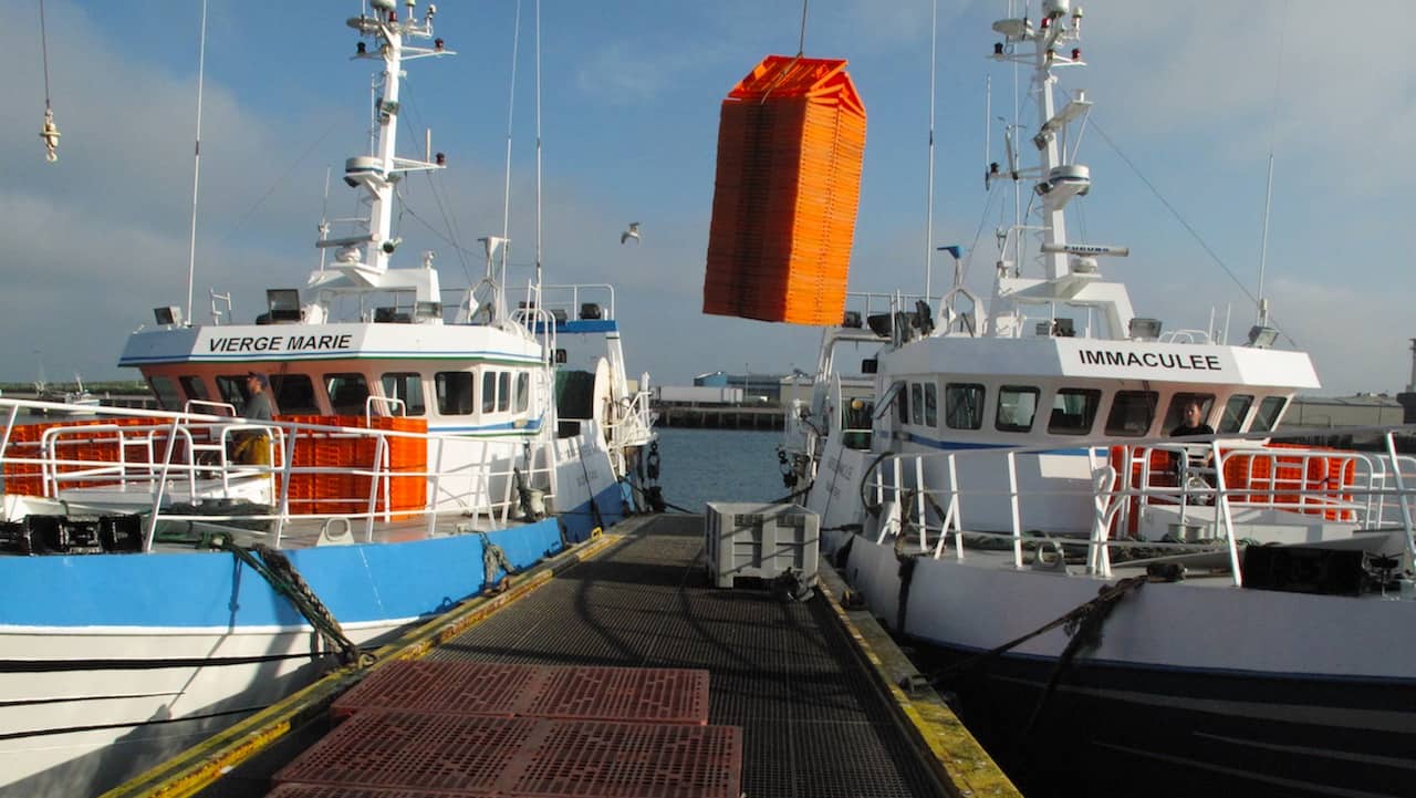 Read more about the article Boosting support for European fisheries