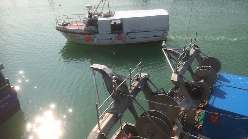 Read more about the article Demands for Commission to think again on nature legislation