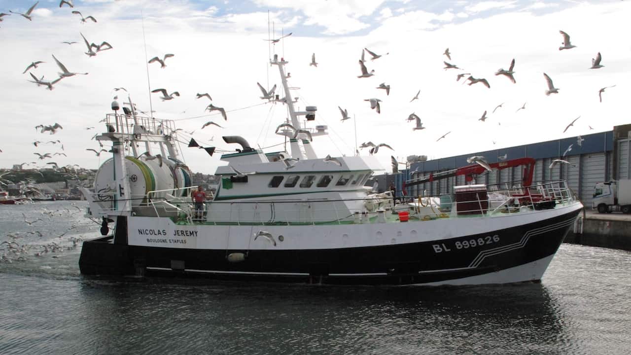 Read more about the article EU must not stand idly by and sacrifice its fishing industry