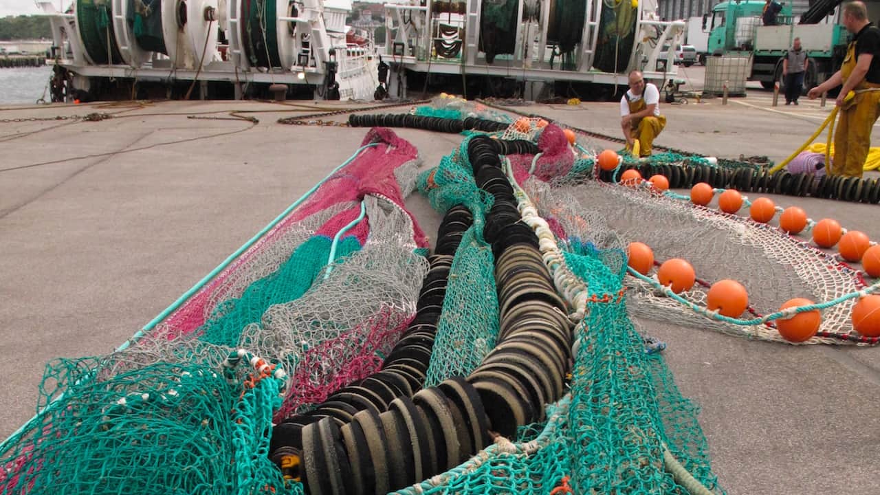 Read more about the article Advancing knowledge of trawling’s global impact
