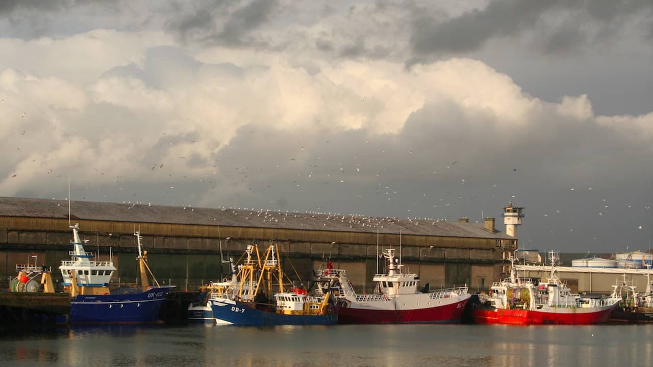 Read more about the article Crisis support measures for European fisheries and aquaculture