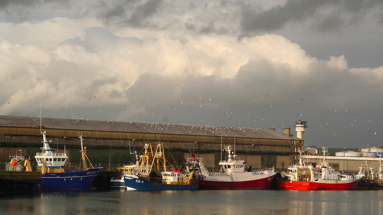 Read more about the article Developing the fishing vessel of the future