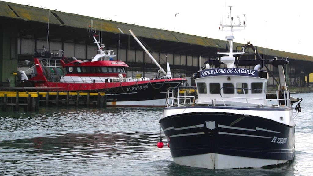 Read more about the article French fishermen back at work