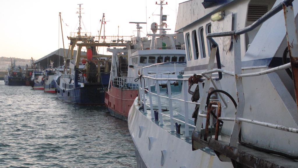 Read more about the article Fisheries at the heart of European Oceans Pact