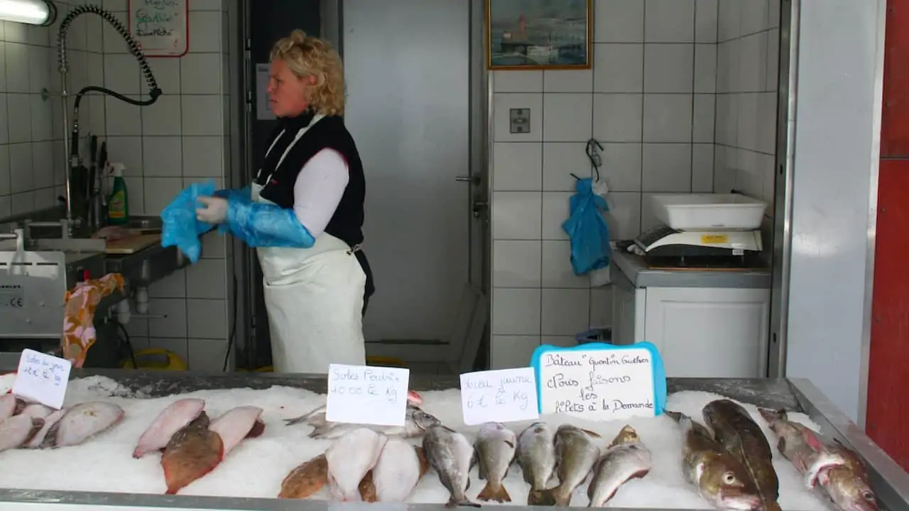 Read more about the article Unique identity for Hauts de France’s seafood