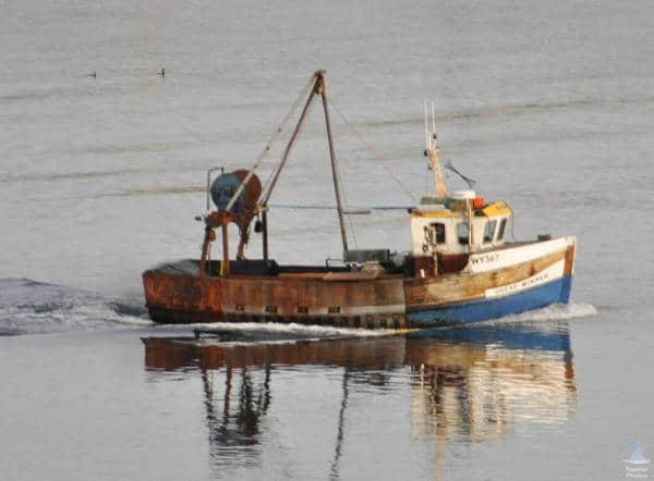 Read more about the article Search for Missing Fisherman Stood Down in Hours of Darkness