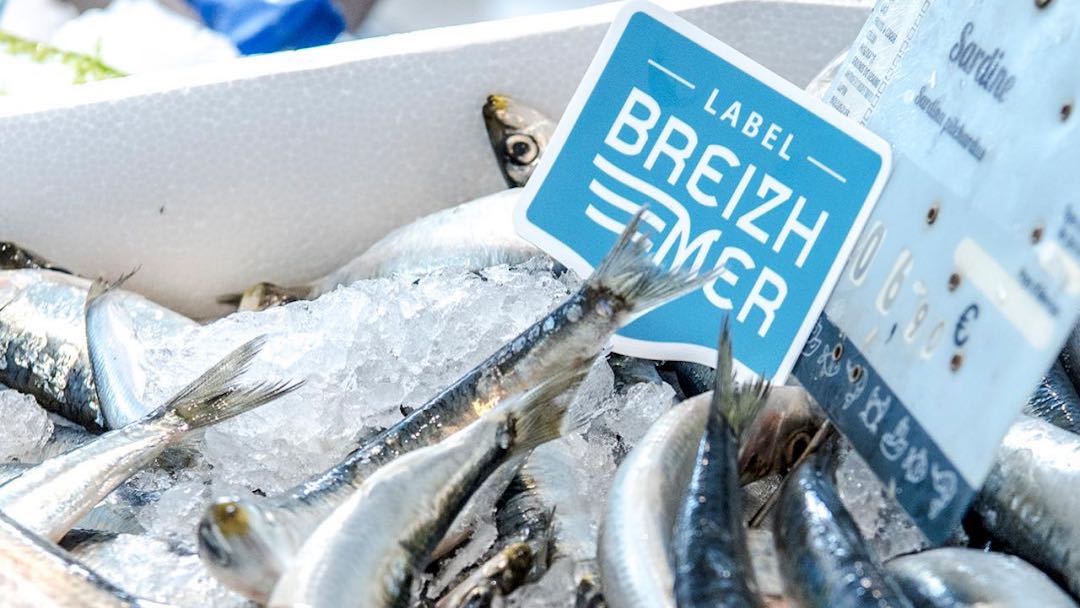 Read more about the article Breton seafood gets quality label