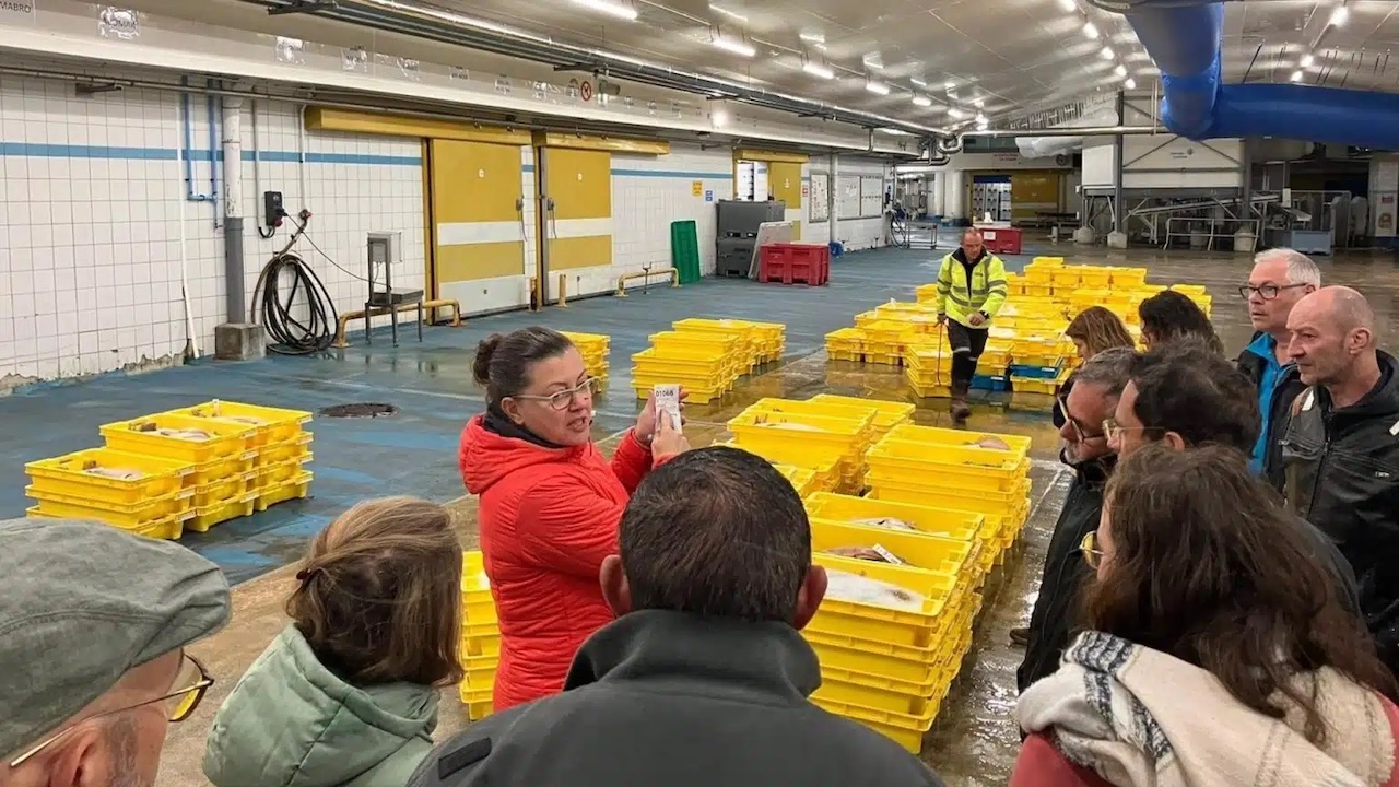 Read more about the article Fresh fish on high school tables