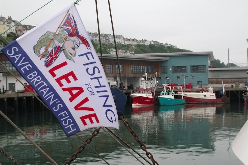 Read more about the article Brexit’s ´severe threat to Britain’s fishing communities’ claims thinktank