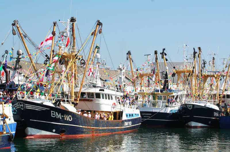 Read more about the article 100% inspection rate in Brixham