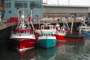 A Brexit fisheries bill has been announced - @ Fiskerforum