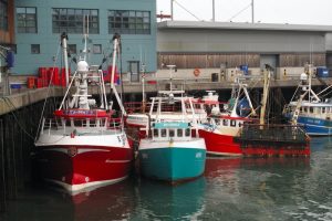 The MMO is seeking English fishing vessels to take part in trials aiming to encourage more selective fishing activity - @ Fiskerforum