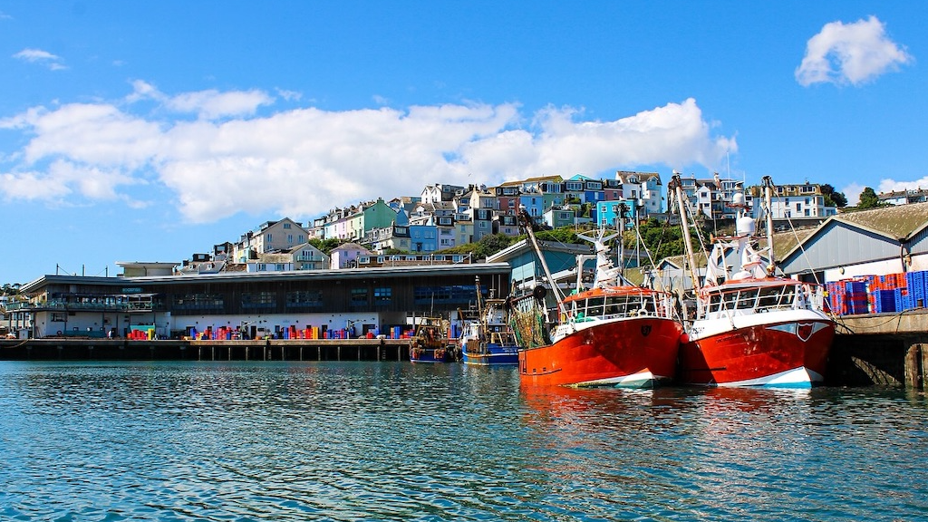 Read more about the article Record week at Brixham