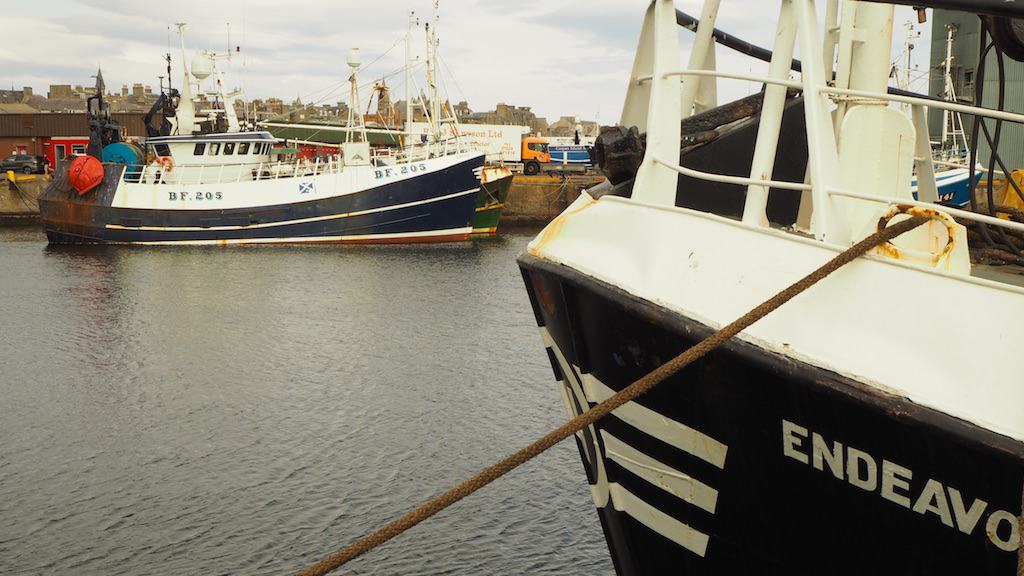 Read more about the article Economic link requirement to support Scotland’s seafood sector