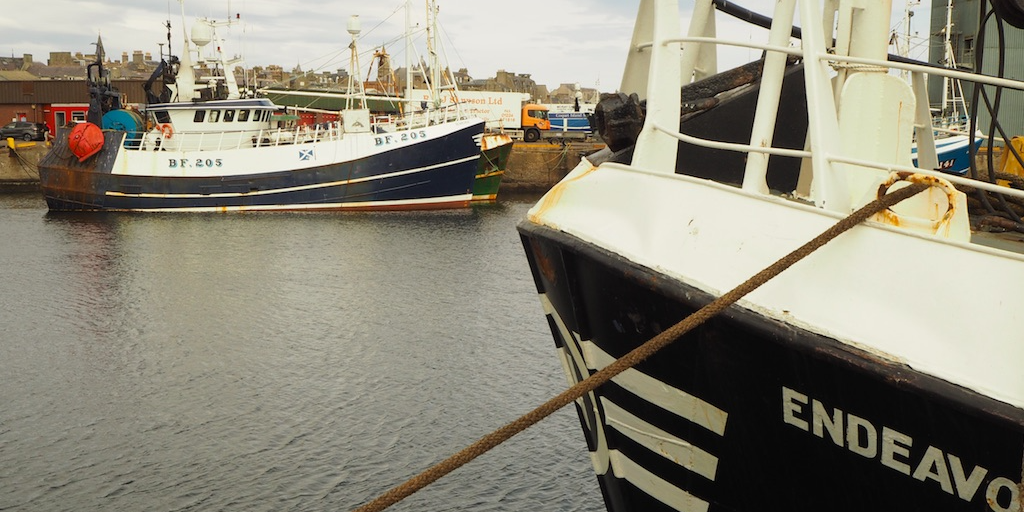 Read more about the article SFF warns against UK drawn back into CFP