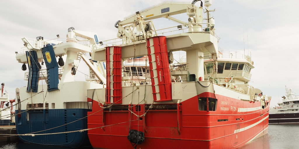 Read more about the article Industry concerns as retail chain takes a stand on mackerel