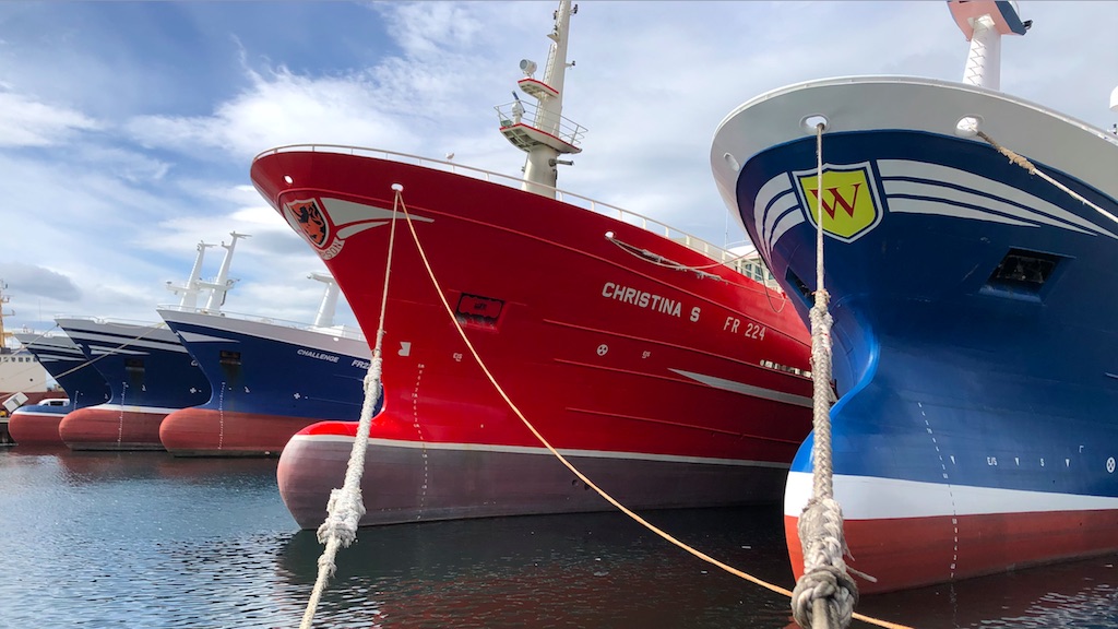 Read more about the article Scottish fleet’s successful blue whiting season