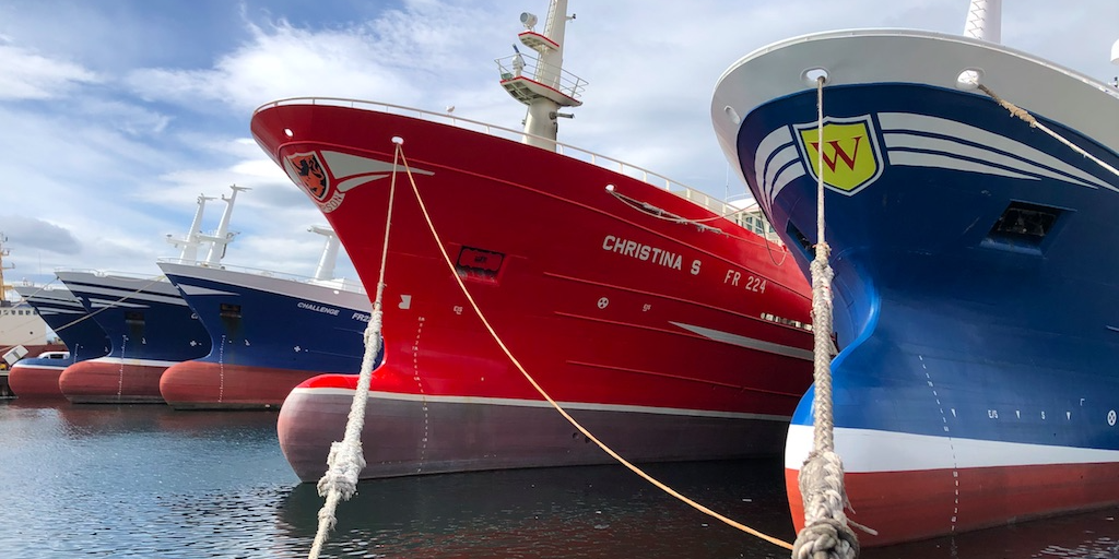 Read more about the article Economic link hike for Scottish pelagic landings