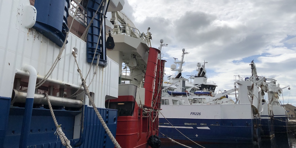 Read more about the article Pelagic processors slam Waitrose mackerel decision