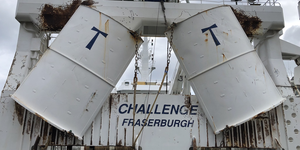 Read more about the article Traceability tool for pelagic fish