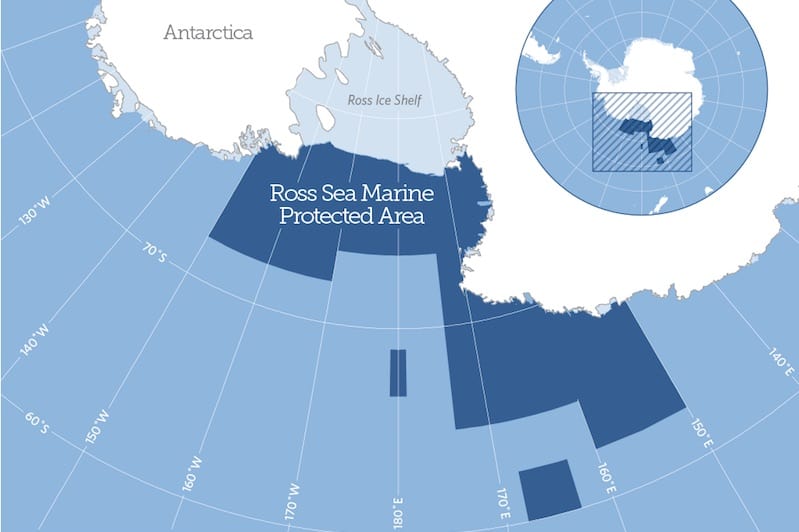 Read more about the article Toothfish and krill harvesters welcome Ross Sea MPA