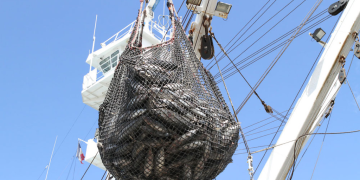 How much duty-free competition can Europe’s tuna sector take?