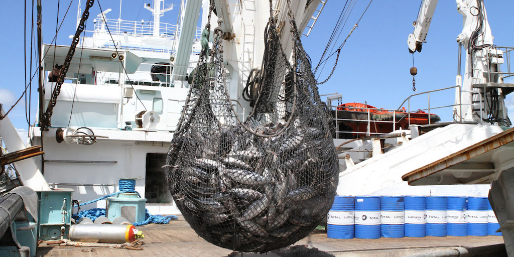 Read more about the article EU leaves tuna fleet out in the cold