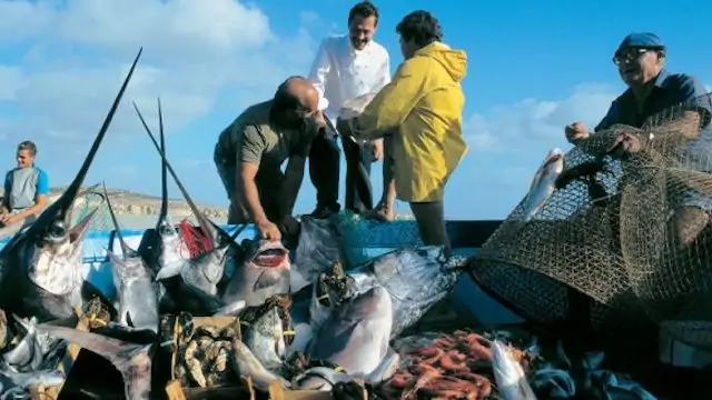 Read more about the article New FAO declaration good news for fishermen