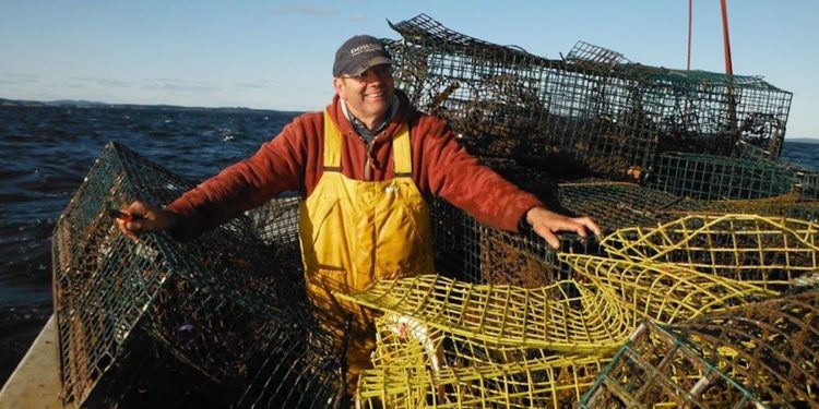 $8.3 million fund to clean up oceans of ghost fishing gear - FiskerForum