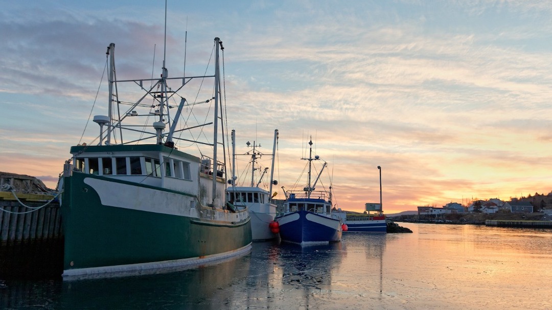 Read more about the article Canada launches Indigenous Fisheries Monitoring Fund