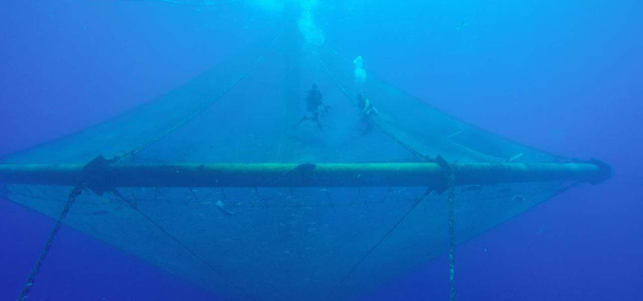 Read more about the article Canada’s Ocean Supercluster opens $29M Ocean Aware Project