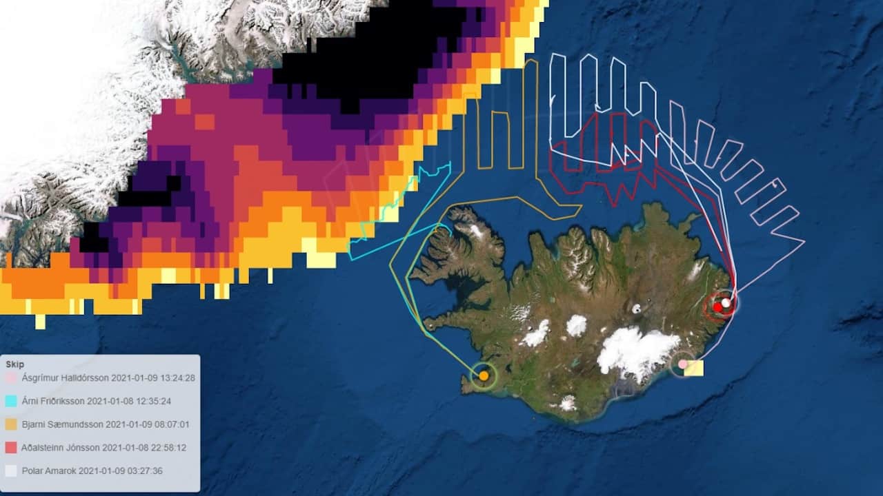 Read more about the article Capelin survey complete
