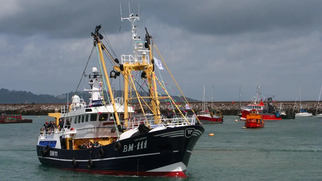 Read more about the article UK fishing fleet’s tough pandemic year