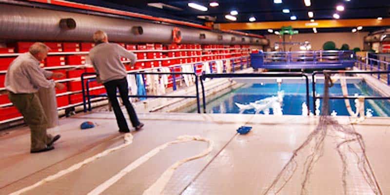 Read more about the article Develop your skills and knowledge about trawling