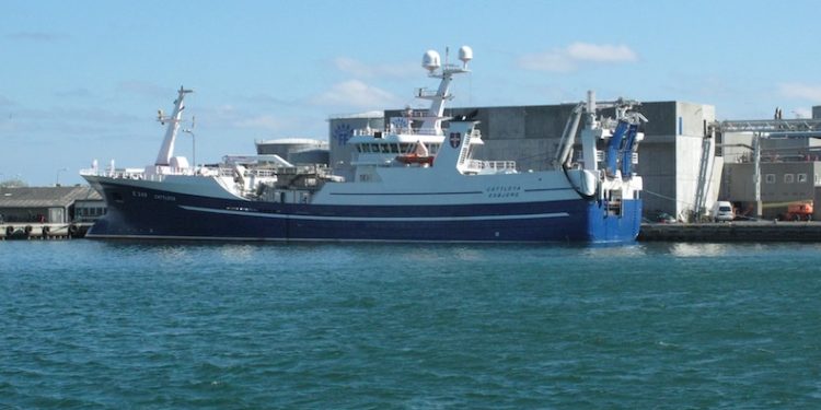 Danish pelagic vessel Cattleya - @ Fiskerforum